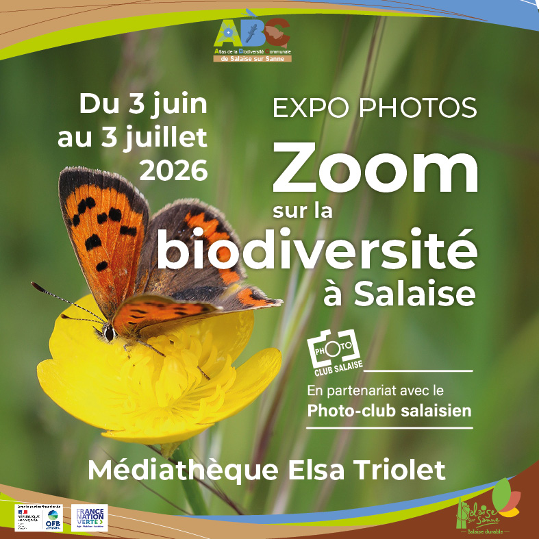 Insta-ExpoPhotosMedi