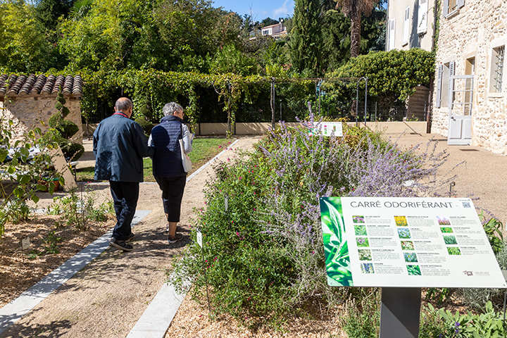 Jardin_Maison_Prieur