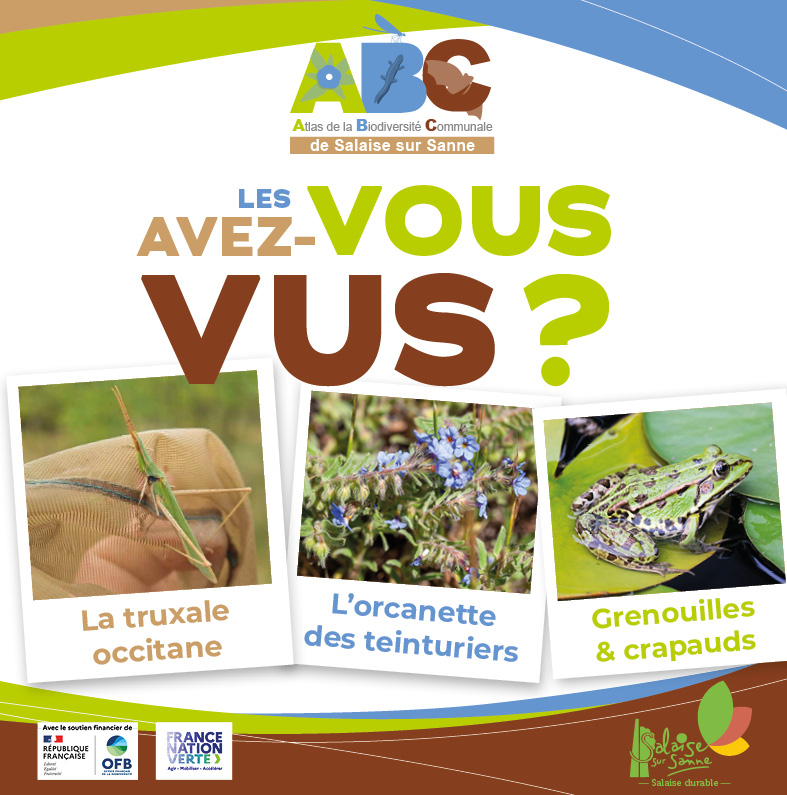 InstaAppelObservation 3especes